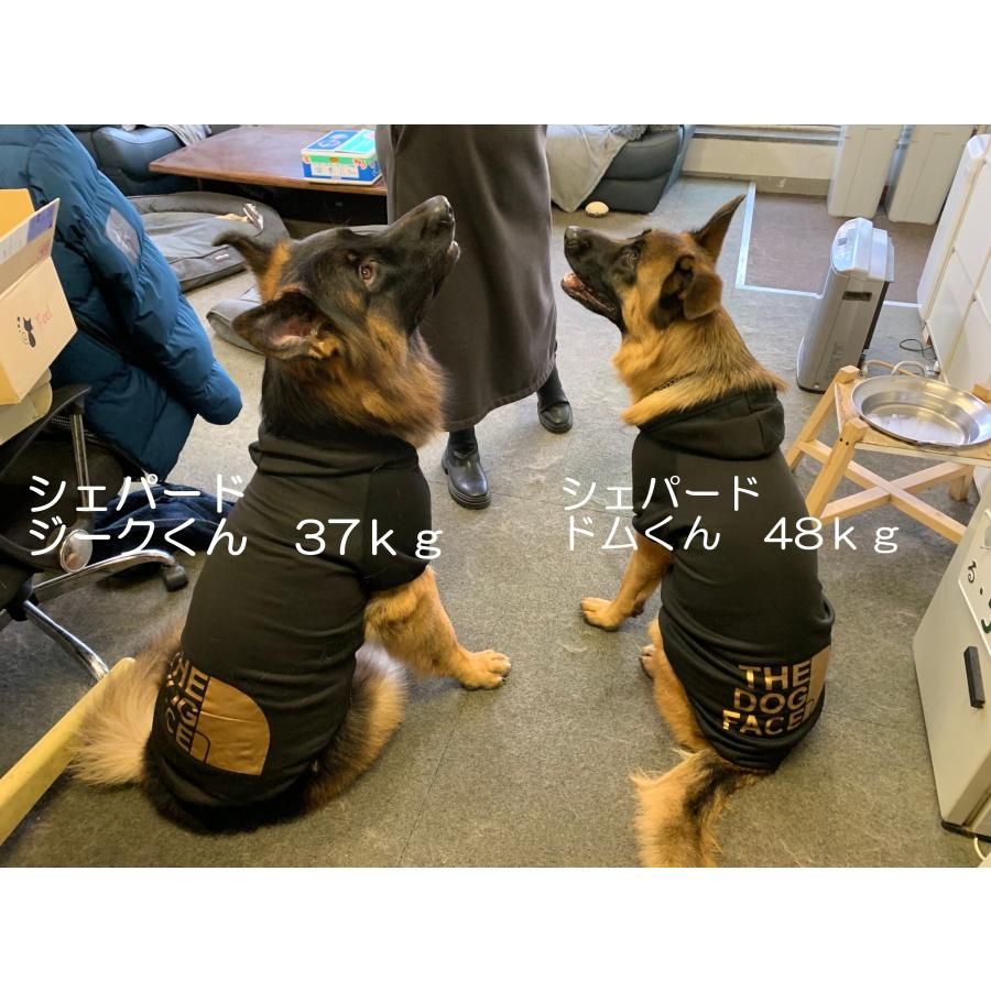 パーカー　犬服　THE　DOG　FACE  ドッグフェイス ペットウェア 　秋冬　おしゃれ　トレーナー　犬　冬服　大型犬　中型犬　超大型犬　3L〜9Lサイズ　　｜merrily｜15