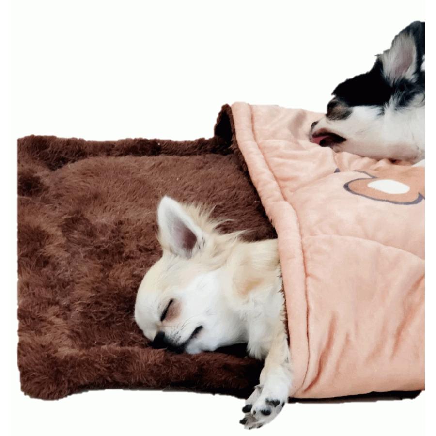 Sale ふかふかおふとん Mサイズ くまたん 犬のベッド 猫 おふとん ベッド ふわふわ お布団 洗える 小型犬 洗濯 可愛い 7376 Petshop Merrily 通販 Yahoo ショッピング