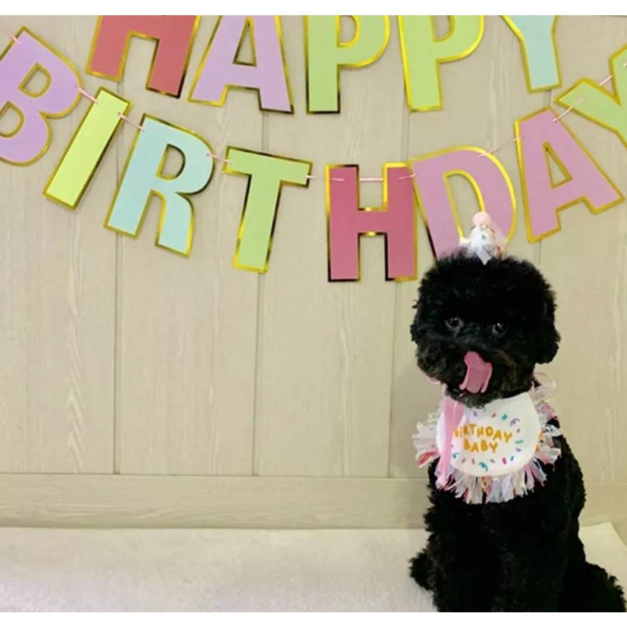 喜ばれる誕生日プレゼント ハッピースタイ ｓサイズ 誕生日 ハッピーバースデー 犬用 わんこ お祝い 写真 撮影 スタイ 猫 コスプレ 洋服 可愛い フリフリ Happybirthday Dprd Jatimprov Go Id