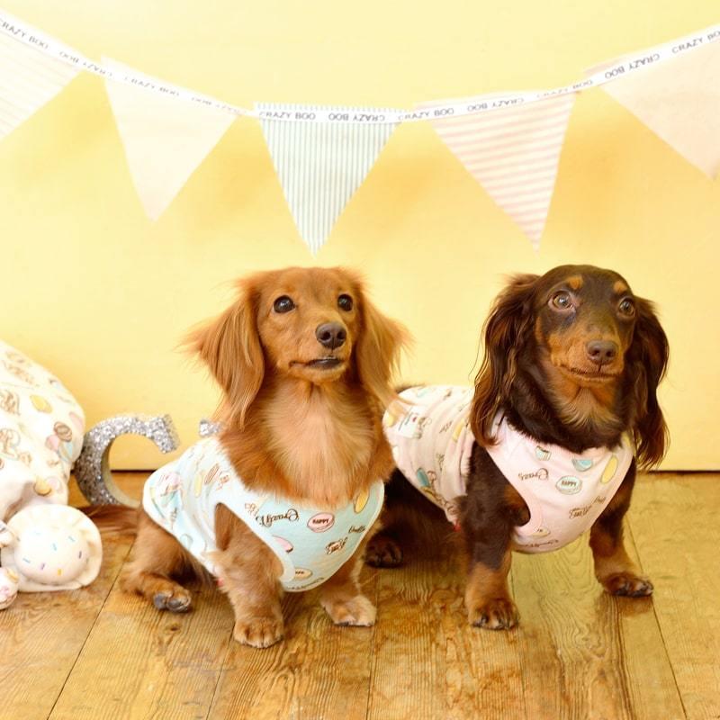 ✨アクネ✨ファットファームベロア bboy レア phatfarm ファットファーム ベロア セットアップ ロカウェア bboy