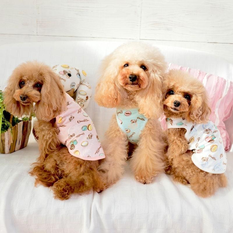 CRAZYBOO Baby クレイジーブー ベビー マカロン柄 ベロア CB141886