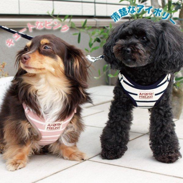 ボーダー柄ソートフルハーネスリード アフレッシュフィーリング　ハーネスリード ハーネスリードセット 犬 犬用 小型犬 ペット用 リード付き | ブランド登録なし