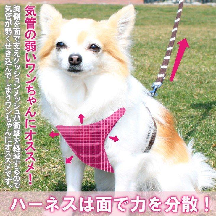 ボーダー柄ソートフルハーネスリード アフレッシュフィーリング　ハーネスリード ハーネスリードセット 犬 犬用 小型犬 ペット用 リード付き | ブランド登録なし | 01