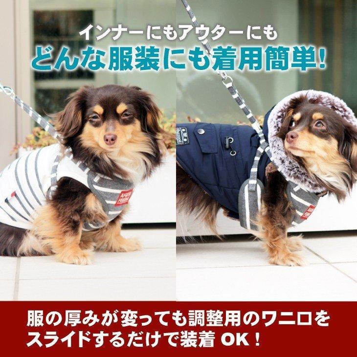 ボーダー柄ソートフルハーネスリード アフレッシュフィーリング　ハーネスリード ハーネスリードセット 犬 犬用 小型犬 ペット用 リード付き | ブランド登録なし | 02