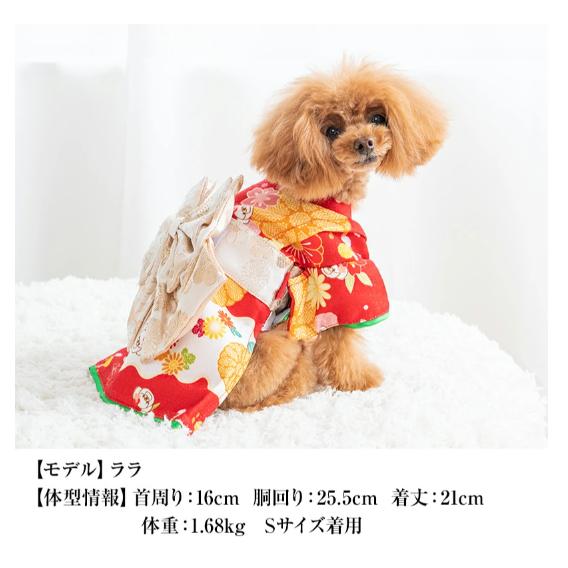☆ペットコスチューム 着物 菊☆ CRAZYBOO Baby クレイジーブー 菊柄着物 CB241093 洋服 着物 可愛い
