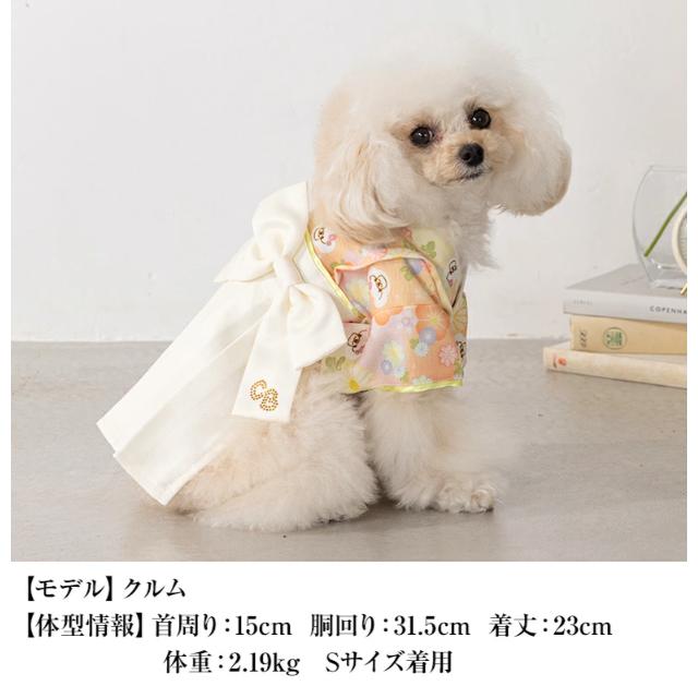 サイドリボン袴 着物 CRAZYBOO クレイジーブー リボン 犬服 ドッグ