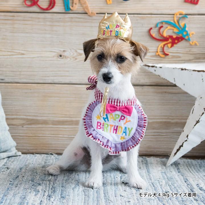 ハッピースタイ ｍサイズ 誕生日 ハッピーバースデー 犬用 わんこ お祝い 写真 撮影 スタイ 猫 コスプレ 洋服 可愛い フリフリ Happybirthday L2568 Petshop Merrily 通販 Yahoo ショッピング