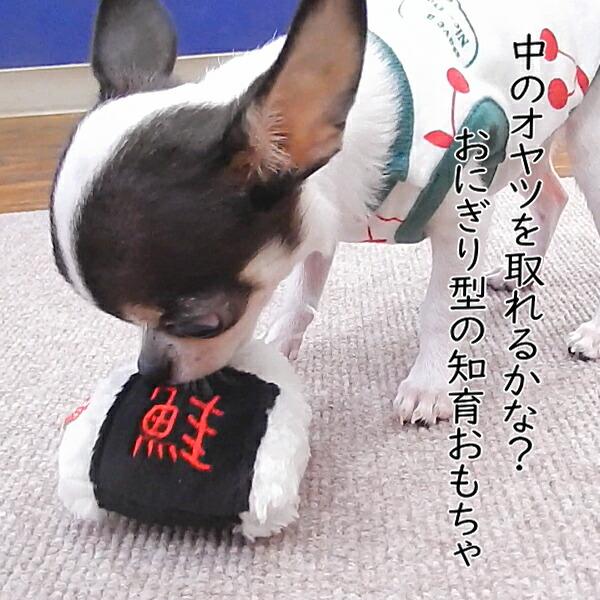 犬 知育 おもちゃ おにぎり トイ 玩具 ノーズワーク ぬいぐるみ ペット チワワ 小型犬 鳴く 音 噛む おやつ 犬用おもちゃ 知育玩具 上履き | PomPreece | 01