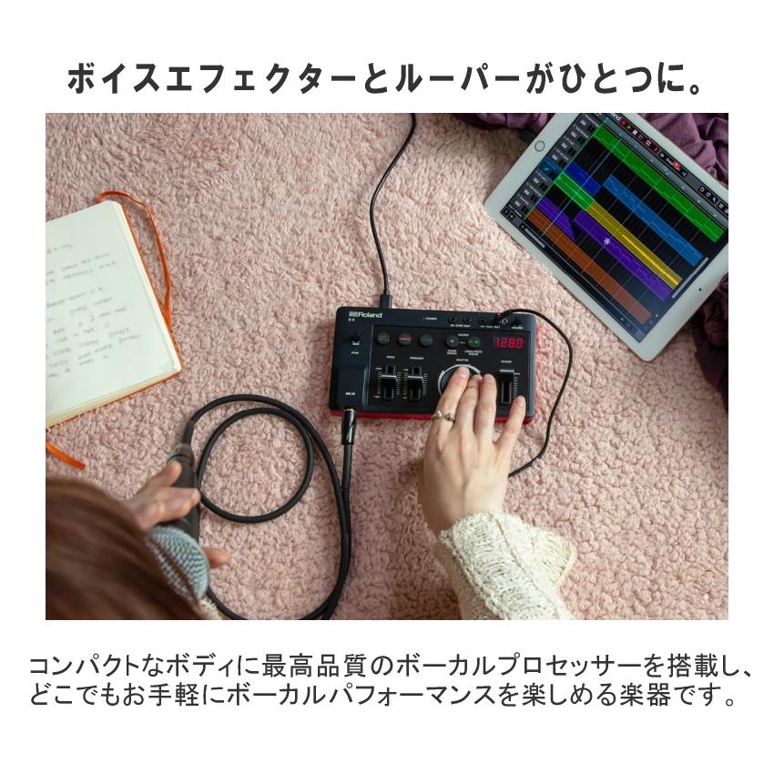 Roland AIRA Compact E-4 ( VOICE TWEAKER )｜merry-net｜06