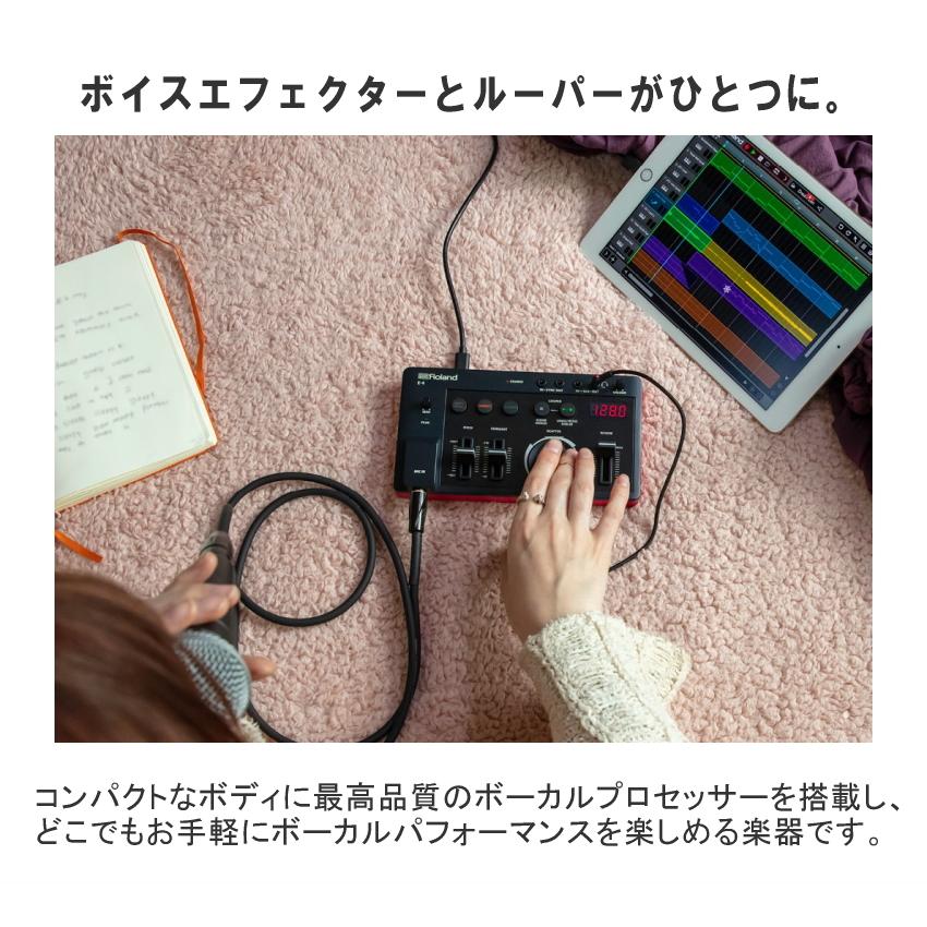 ローランド Roland AIRA アイラ Compact E-4 VOICE TWEAKER