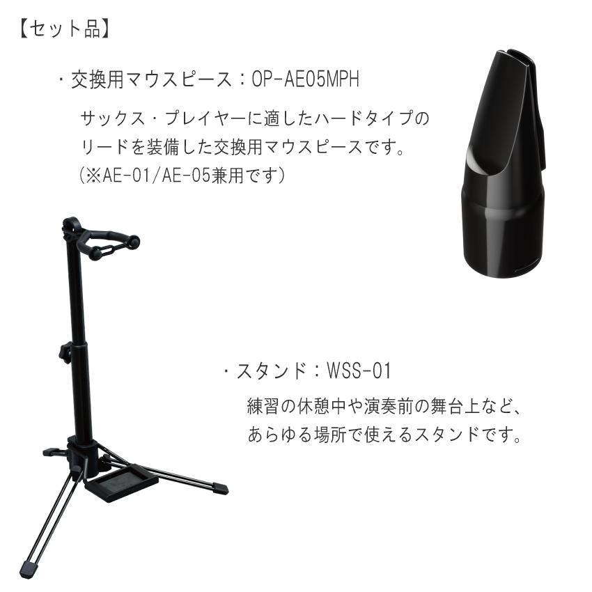 Roland Aerophone mini /AE-01 エアロフォンミニ/ デジタル管楽器 （スタンド/マウスピース付き） ローランド　エアロフォン 爆買 | ローランド | 01