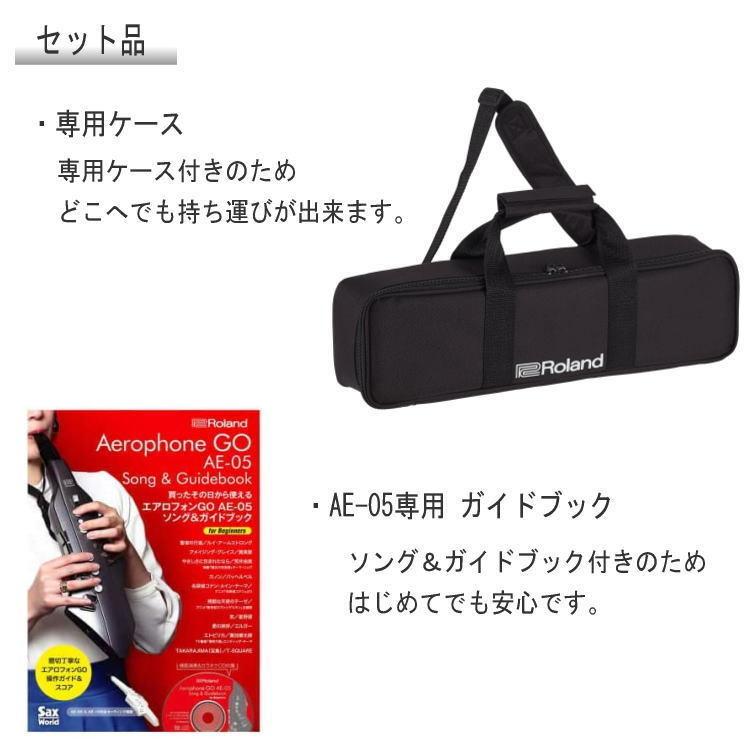 Roland Aerophone GO /AE-05 エアロフォン デジタル管楽器（ケース/ガイドブック/スタンド/マウスピース付き）ローランド | ローランド | 02