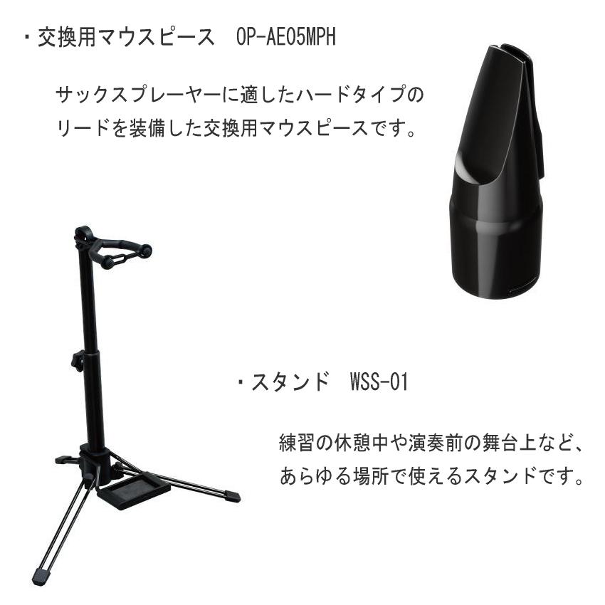 ローランド エアロフォン AE20 Roland Aerophone AE-20 （ケース 