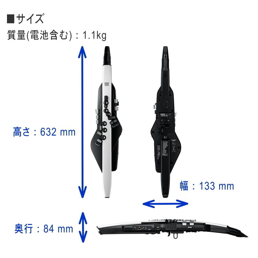 ローランド エアロフォン AE20 Roland Aerophone AE-20 （ケース 