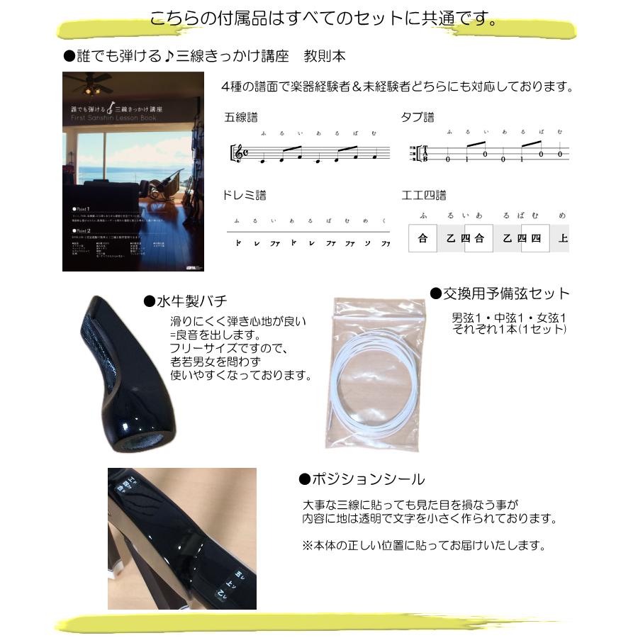 沖縄三線 スタンダード人工皮 シンプルセット Aセット : 楽器の