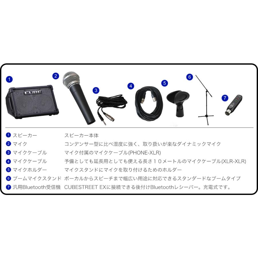 Roland ローランド CUBE STREET EX(Bluetooth受信機/有線マイク付きセッ 爆買 | ローランド | 01