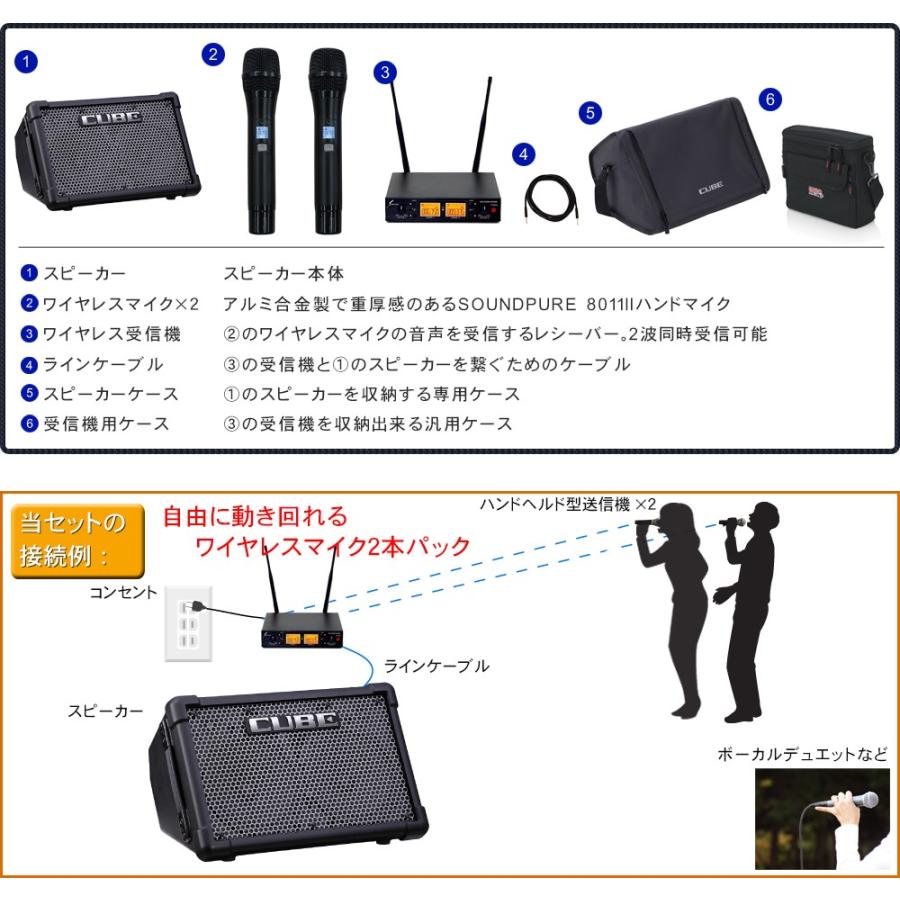 ケース付き　Roland 簡易PAセット 出力50W (SOUNDPURE ワイアレスマイク2本付き | ローランド | 01