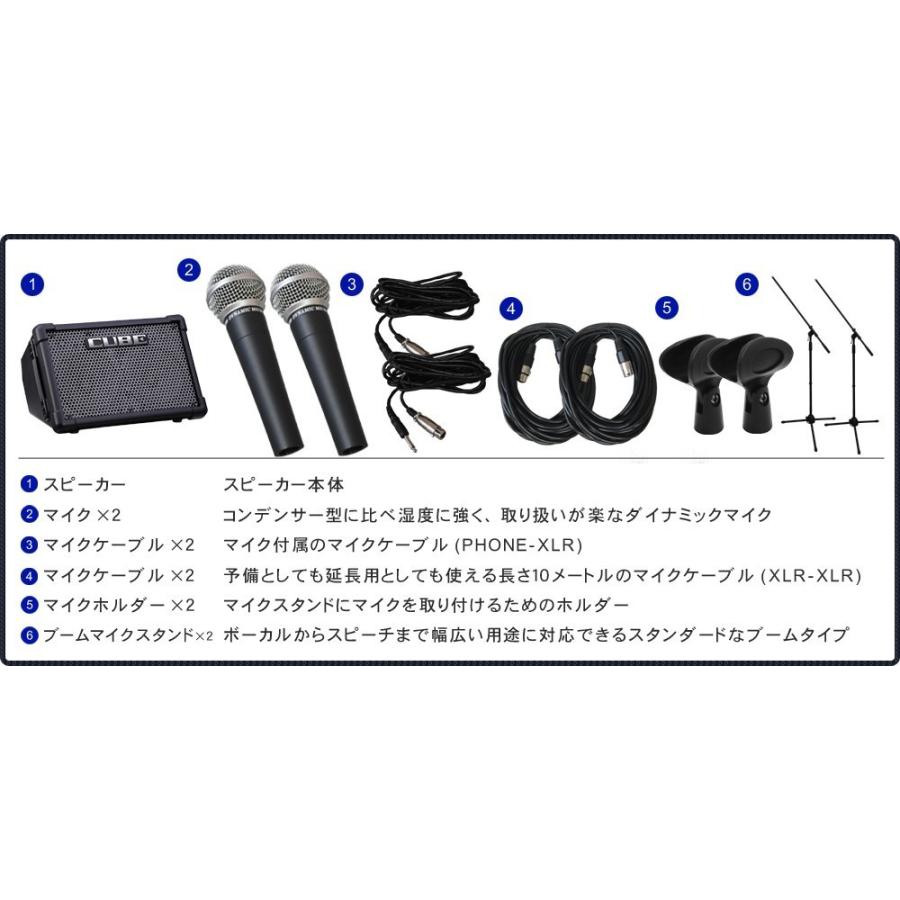 Roland 出力50W キューブストリート EX(ダイナミックマイク2本＋撥水生地のケース付き) | ローランド | 01