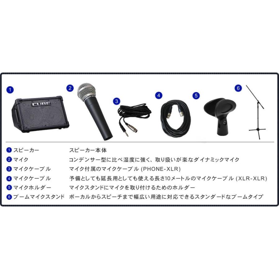 Roland ローランド CUBE STREET EX 有線マイク1本＋スピーカーケース付きセット｜merry-net｜02