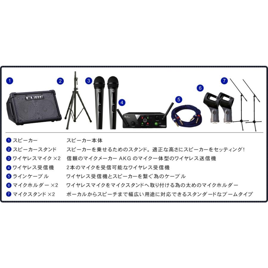 簡易PAセット 出力50W 教室規模の部屋でのトークショーなどに！　コードレスマイク２本付き(スピーカースタンド付き) | ローランド | 01