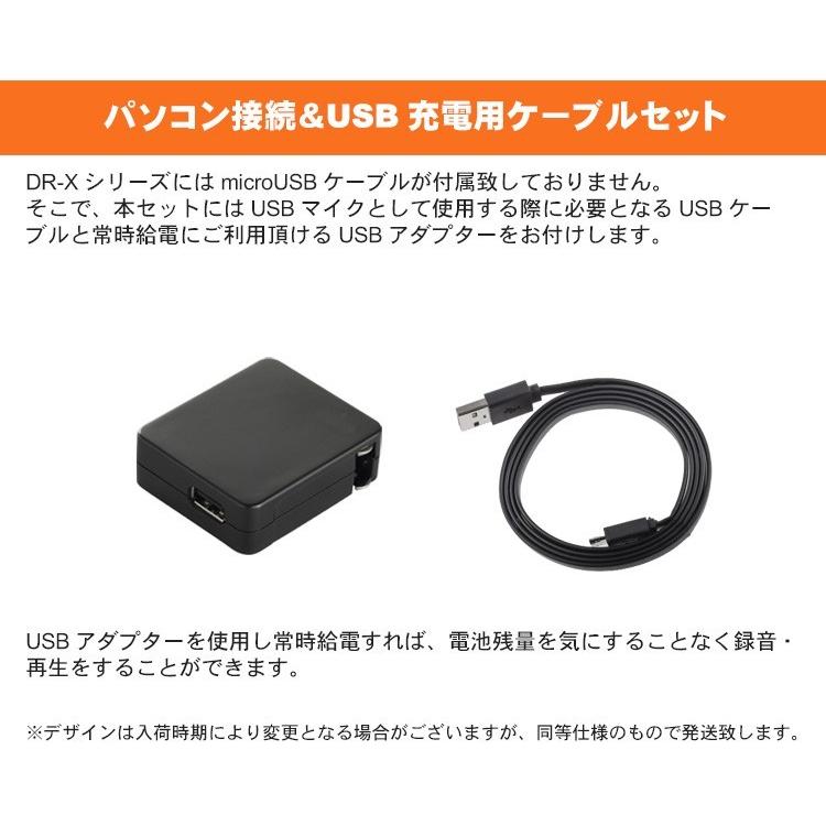 TASCAM オーディオインターフェイス機能付き レコーダー DR-40X TASCAM オーディオインターフェイス機能付き レコーダー DR-40X