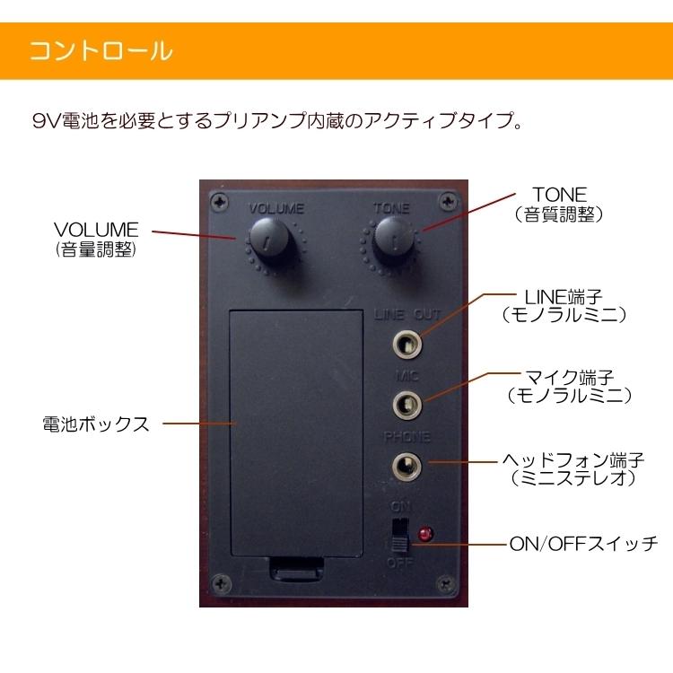 KIKUTANI 消音効果抜群のエレキバイオリン ESV-380ブラウン【8点