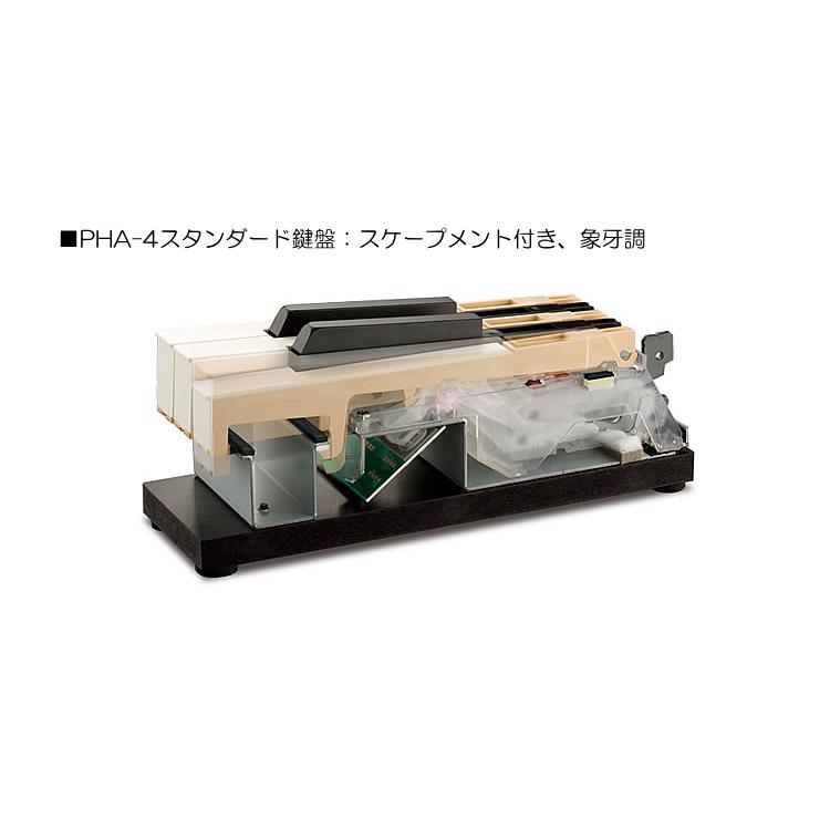 ローランド（Roland） 電子ピアノ 88鍵盤 FP-10 Roland 鍵盤が良い