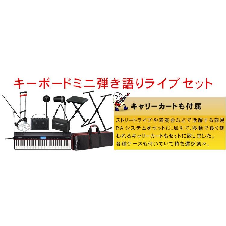 ローランド Roland GO PIANO 61 (ピアノ音源搭載キーボード ローランド Roland GO PIANO 61 (ピアノ音源搭載キーボード