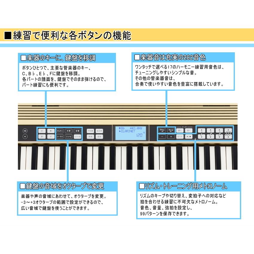 ローランド キーボード JUSTY HK-100 Roland 吹奏楽 合唱の練習 ローランド キーボード JUSTY HK-100 Roland 吹奏楽 合唱の練習
