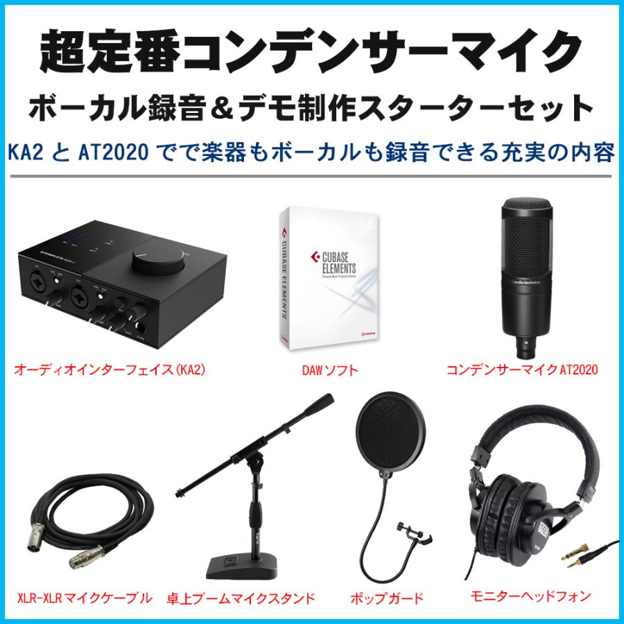 豊富なギフト フォーカス オーディオインターフェースセット マイク