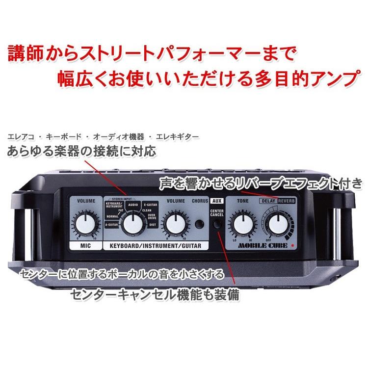 Roland 軽量・多目的アンプ スピーカーセット (4入力・同時出力)大正琴 