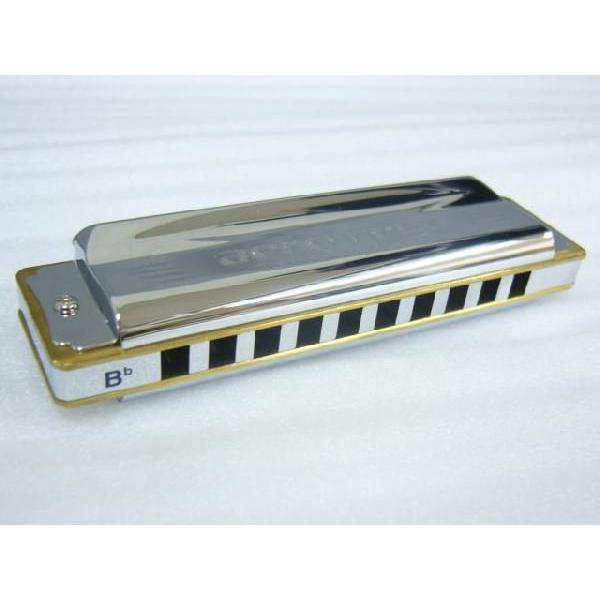 OMBO トンボ 10ホールズハーモニカ C調 エアロリード 2010 TOMBO ( トンボ ) AERO REED #2010 10ホールズハーモニカ C 送料無料