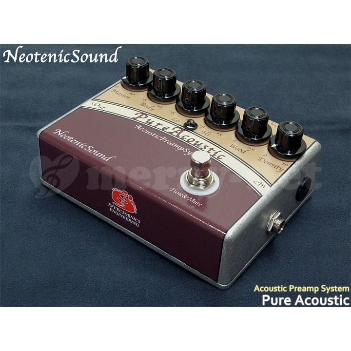 ギター Neotenic Sound PureAcoustic 4aec5411383038138fc80e90814292