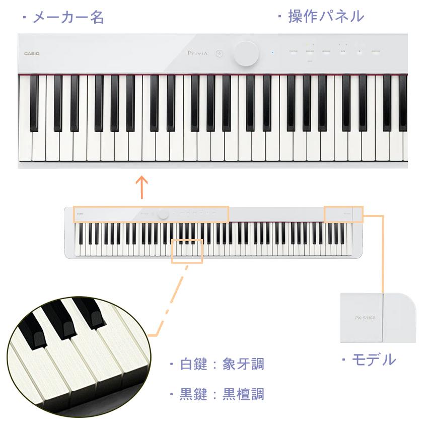 カシオ 電子ピアノ PX-S1100 ホワイト CASIO 88鍵盤デジタルピアノ プリヴィア「X型スタンド白＋椅子白＋ケース2種付き」Privia