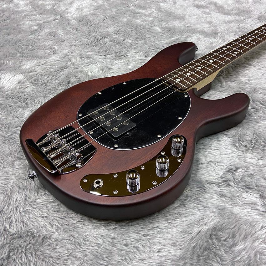 Sterling by MUSIC MAN エレキベース Ray4 Walnut Satin