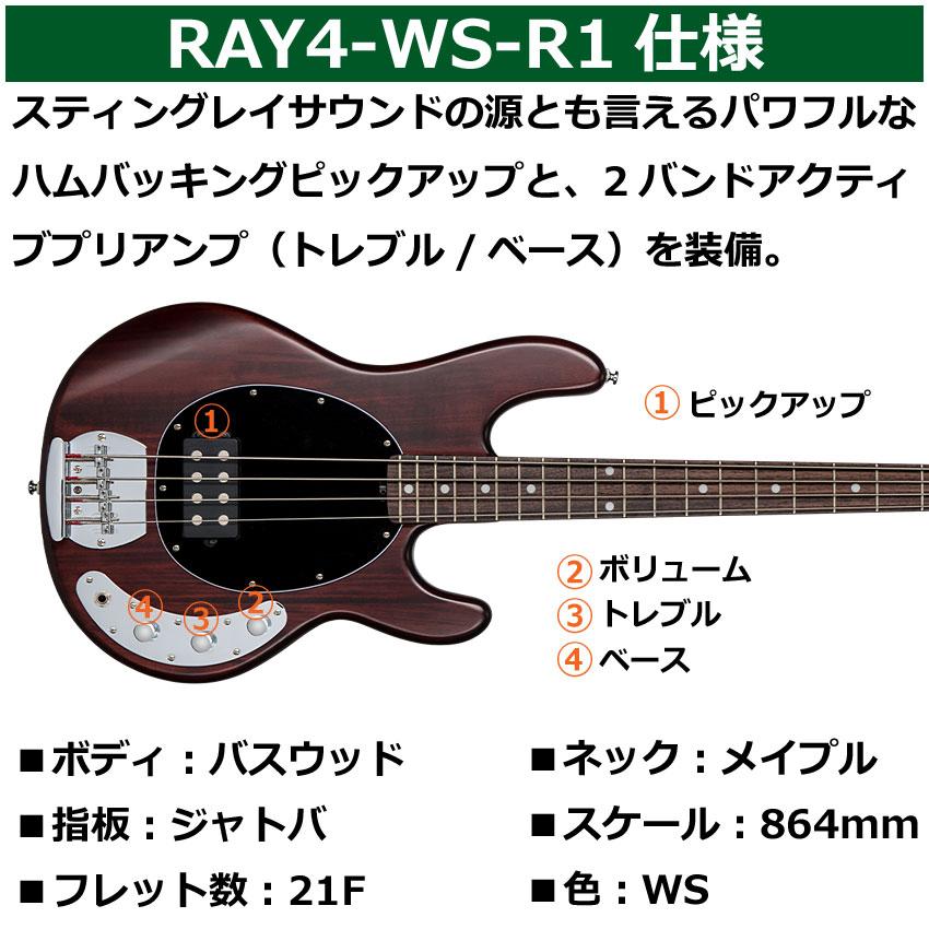 Sterling by MUSIC MAN エレキベース Ray4 Walnut Satin/R スティングレイ｜merry-net｜03