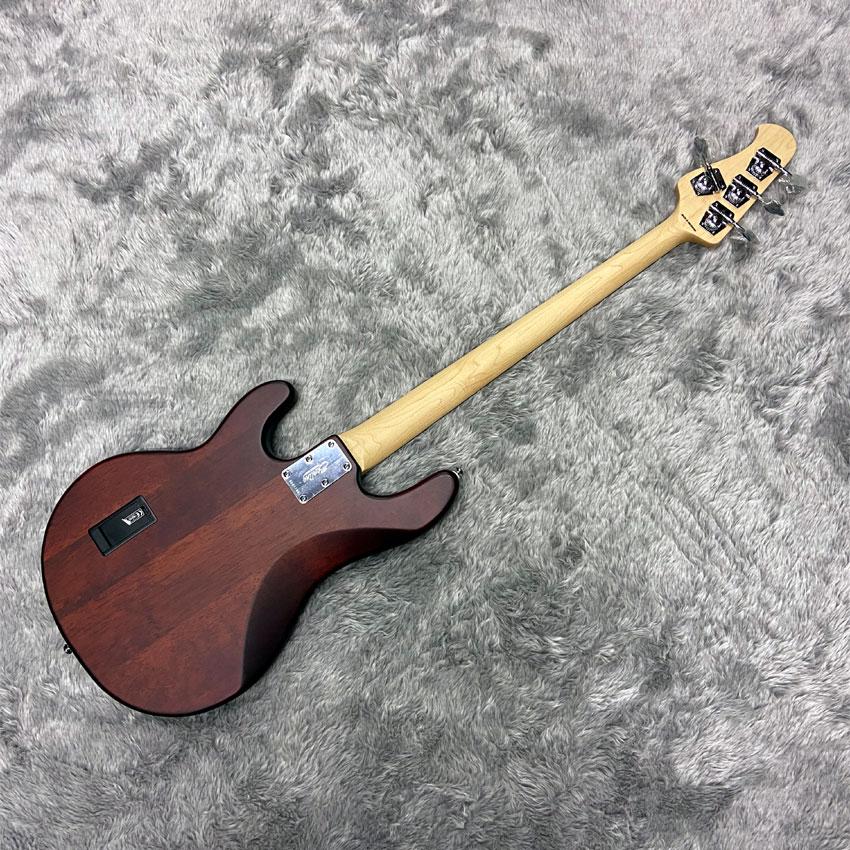 Sterling StingRay エレキベース 4弦 ブラウン Amazon | Sterling By Musicman SUB STINGRAY RAY4 WALNUT SATIN