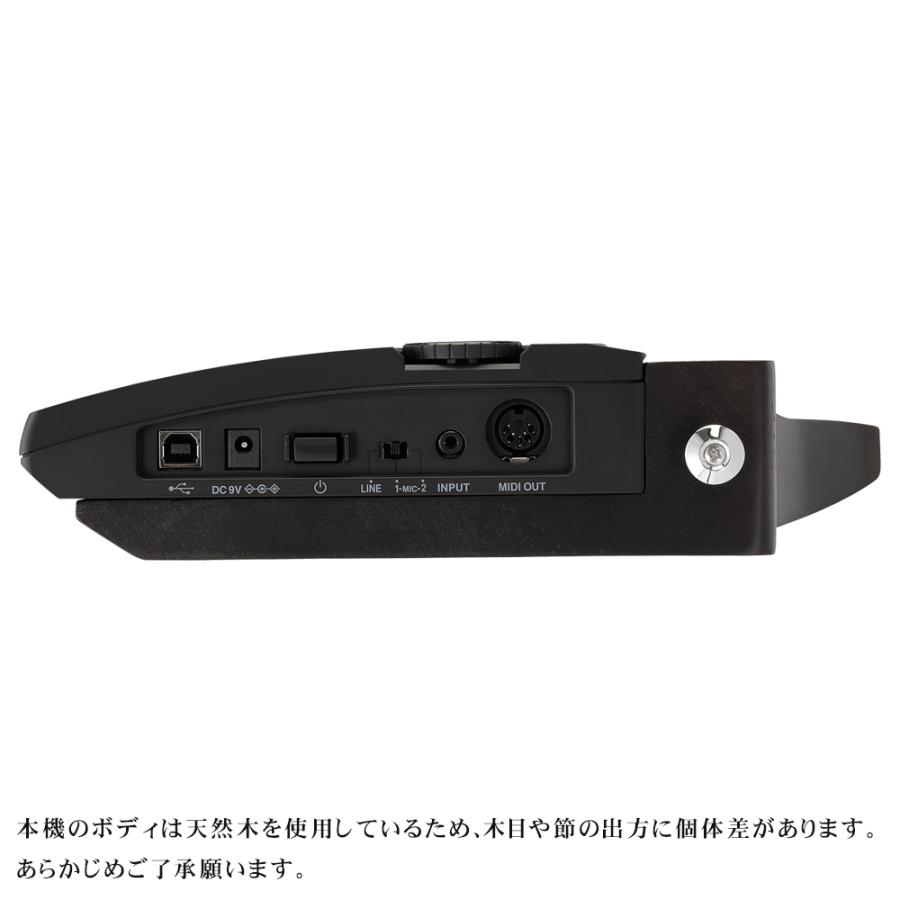 KORG キーター RK-100S2 BK (ヘッドフォン/スタンドセット | KORG | 04