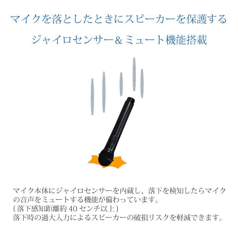 カラオケ　マイク　マイマイクセット　ワイヤレスマイク1本＋予備有線マイク　ケース付き |  | 07
