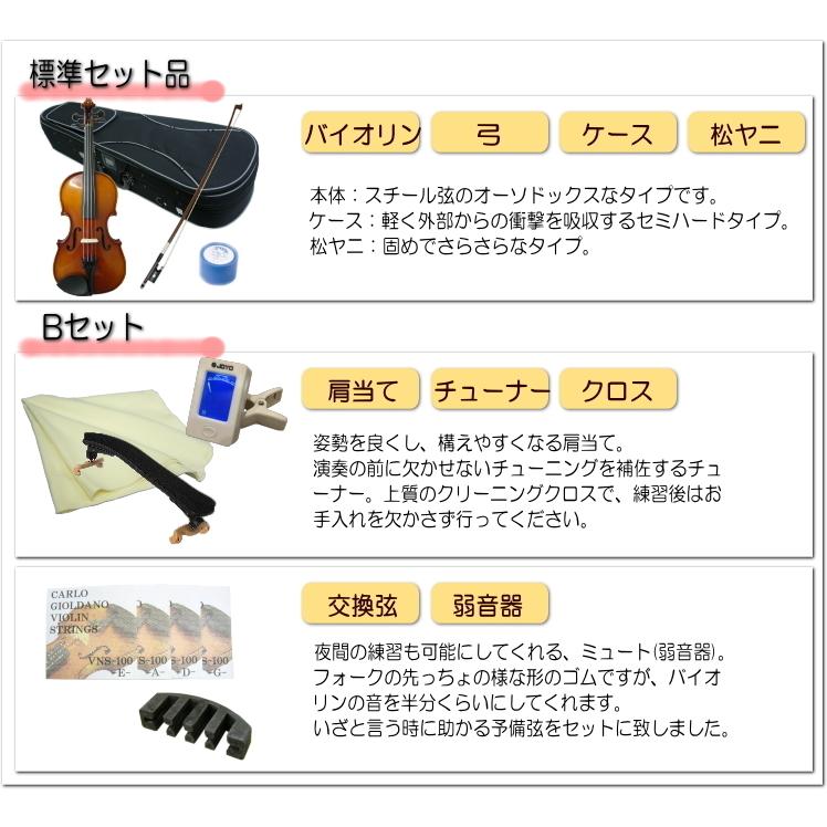 KIKUTANI 初心者向け バイオリン SV180BC【サイズ1/2】9点セット