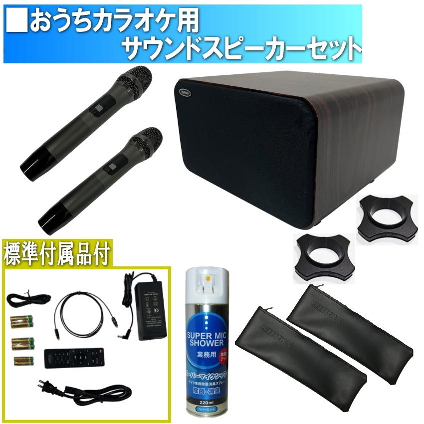 ワイヤレスマイク2本付きセット : 楽器のことならメリーネット
