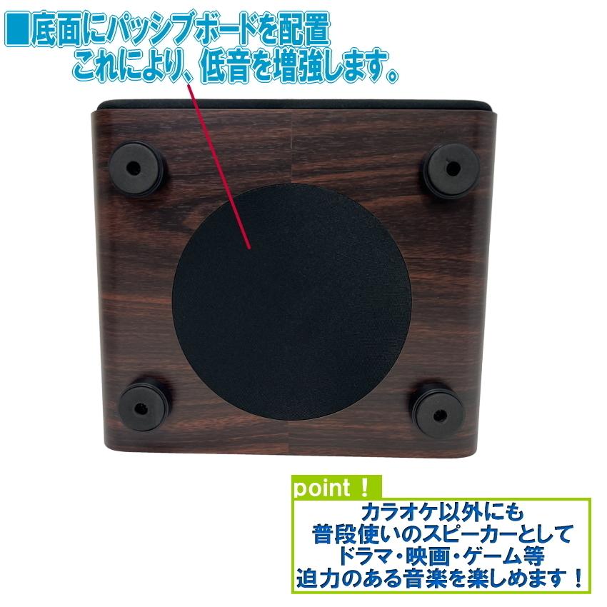 ワイヤレスマイク2本付きセット : 楽器のことならメリーネット