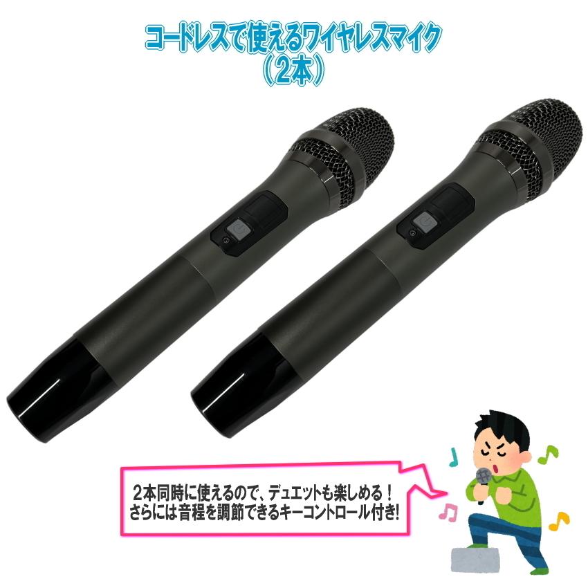 ワイヤレスマイク2本付きセット : 楽器のことならメリーネット