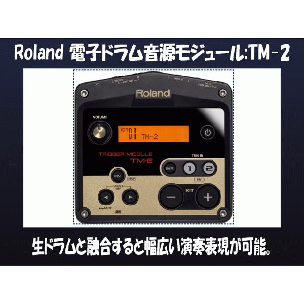 ローランド（Roland） デジタルドラム音源モジュール TM-2 : 楽器の