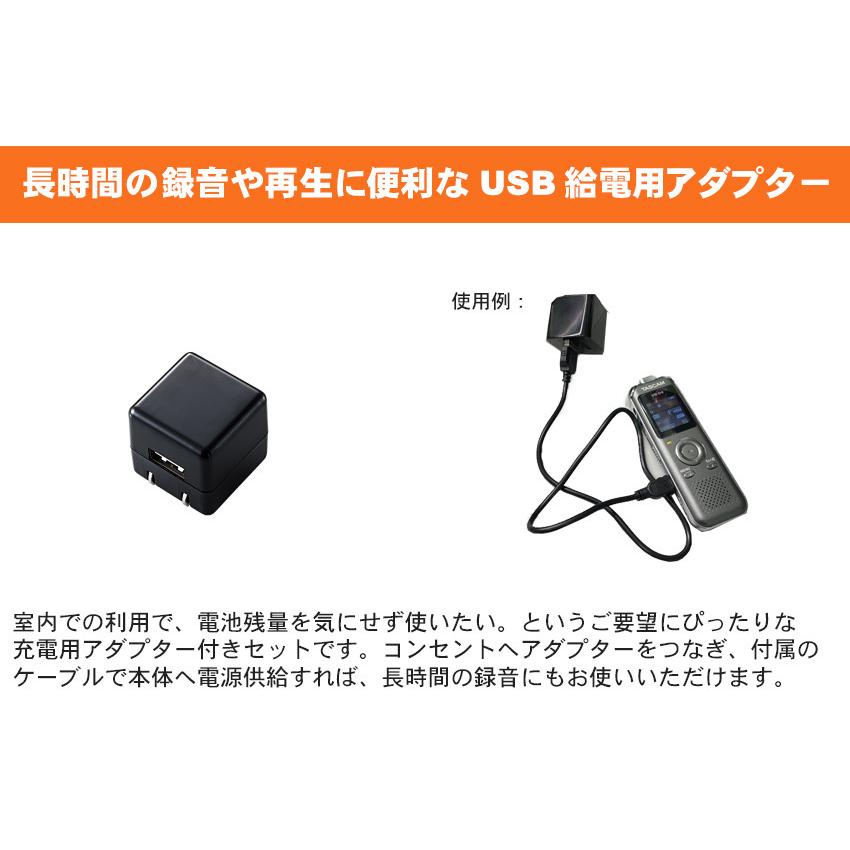 TASCAM ICレコーダー VR-04-GY グレイ (充電器/microSDカードセット) | TASCAM | 01