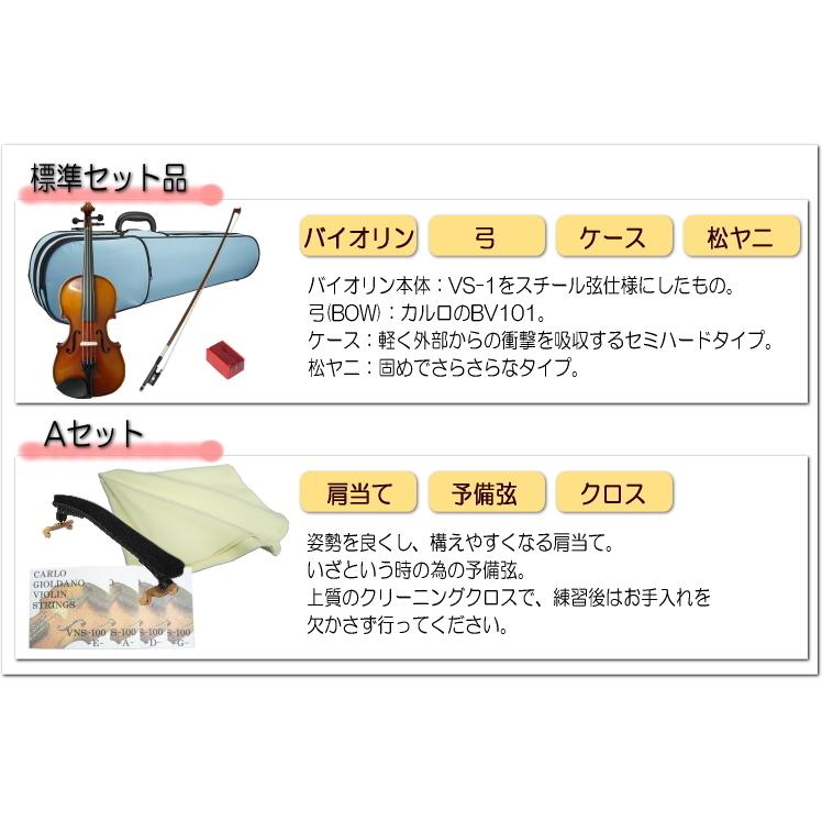 保証書付 みずいろケース大人サイズ バイオリン Vs F1cb 12点セット Fucoa Cl