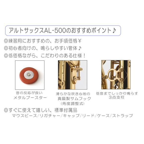 アルトサックス 初心者 AL-500 独学向けセット（教則DVD/サックス