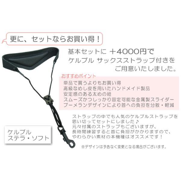 アルトサックス 初心者 AL-500 独学向けセット（教則DVD/サックス