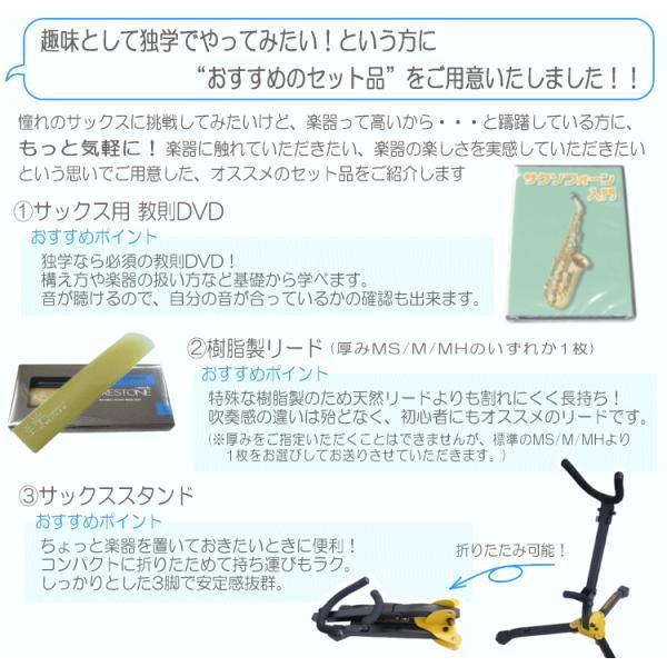 アルトサックス　J.Michael リード付き Jマイケル AL-500 アルトサックスセット 専用セミハードケース付