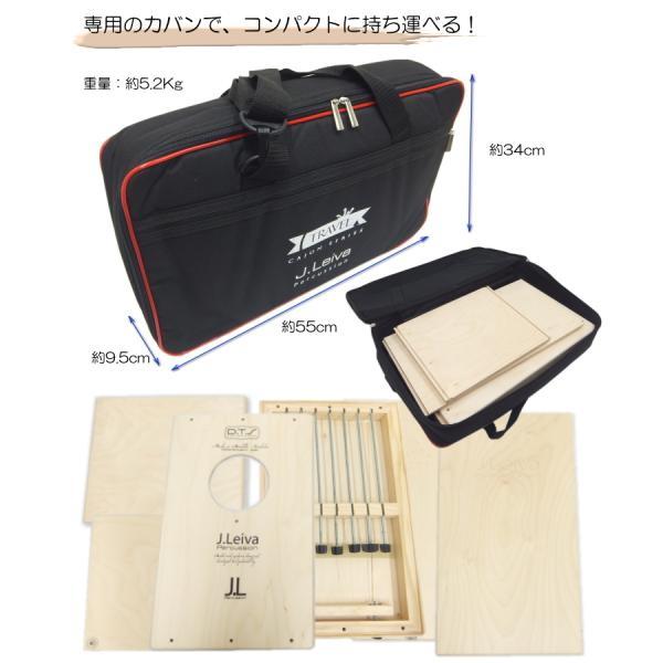組み立て式カホン 組立式カホン Easy CAJON 専用ケース付き イージー カホン 木製
